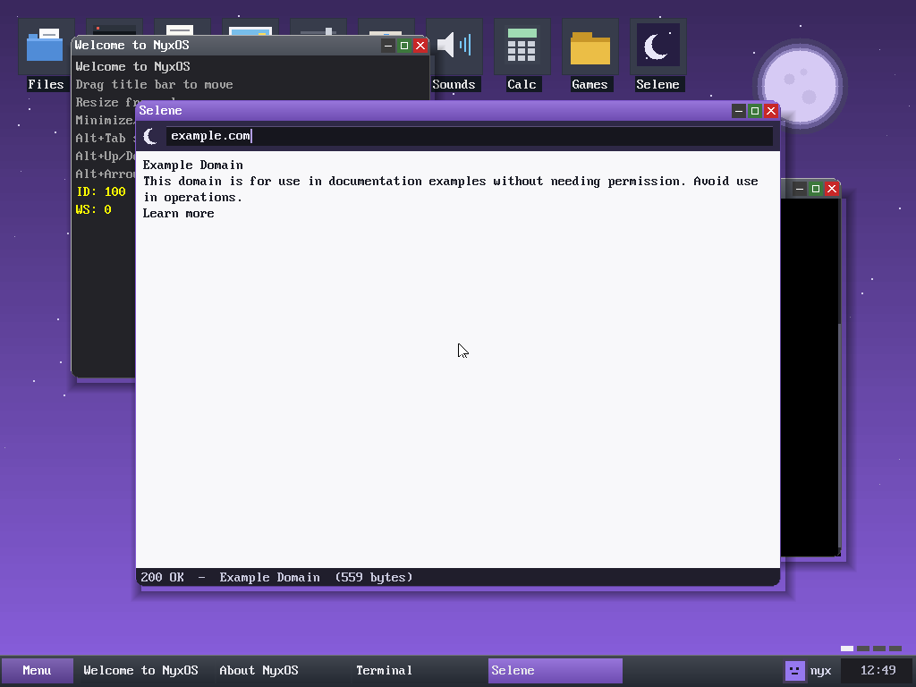 The NyxOS desktop: the Selene web browser on a live page, distinct app icons, wallpaper and taskbar
